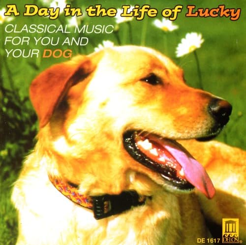 A Day In The Life Of Lucky - Music For You & Your Dog - Image 2