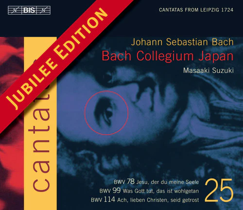 Bach: Cantatas Vol 25 / Suzuki, Bach Collegium Japan