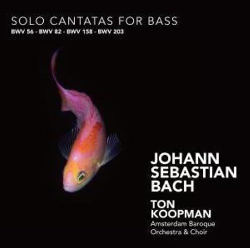 Bach, J.S.: Cantatas for Bass, Bwv 56, 82, 158, 203 - Image 2