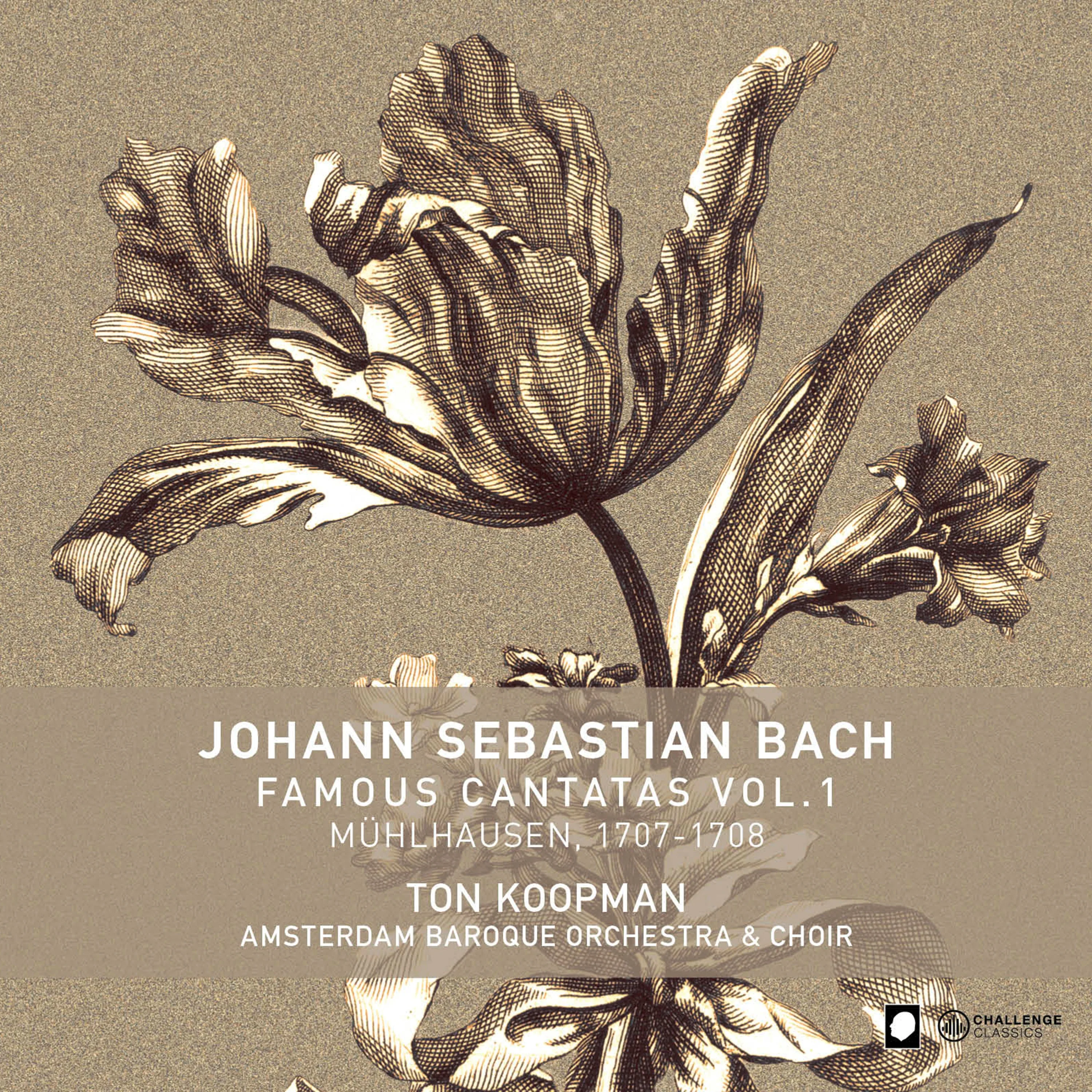 Bach: V1 - Famous Cantatas / Koopman, The Amsterdam Baroque Orchestra and Choir - Image 2