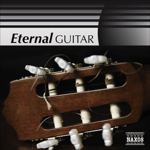 Eternal Guitar - Image 2