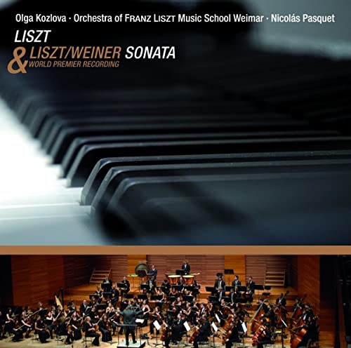 Liszt: Piano Sonata in B minor - Image 2