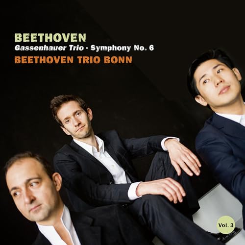 Beethoven:  Gassenhauser Trio, Symphony No. 6 - Image 2