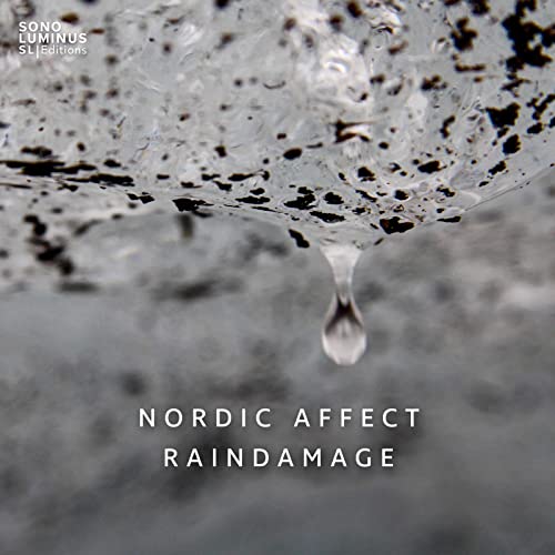 Raindamage / Nordic Affect - Image 2
