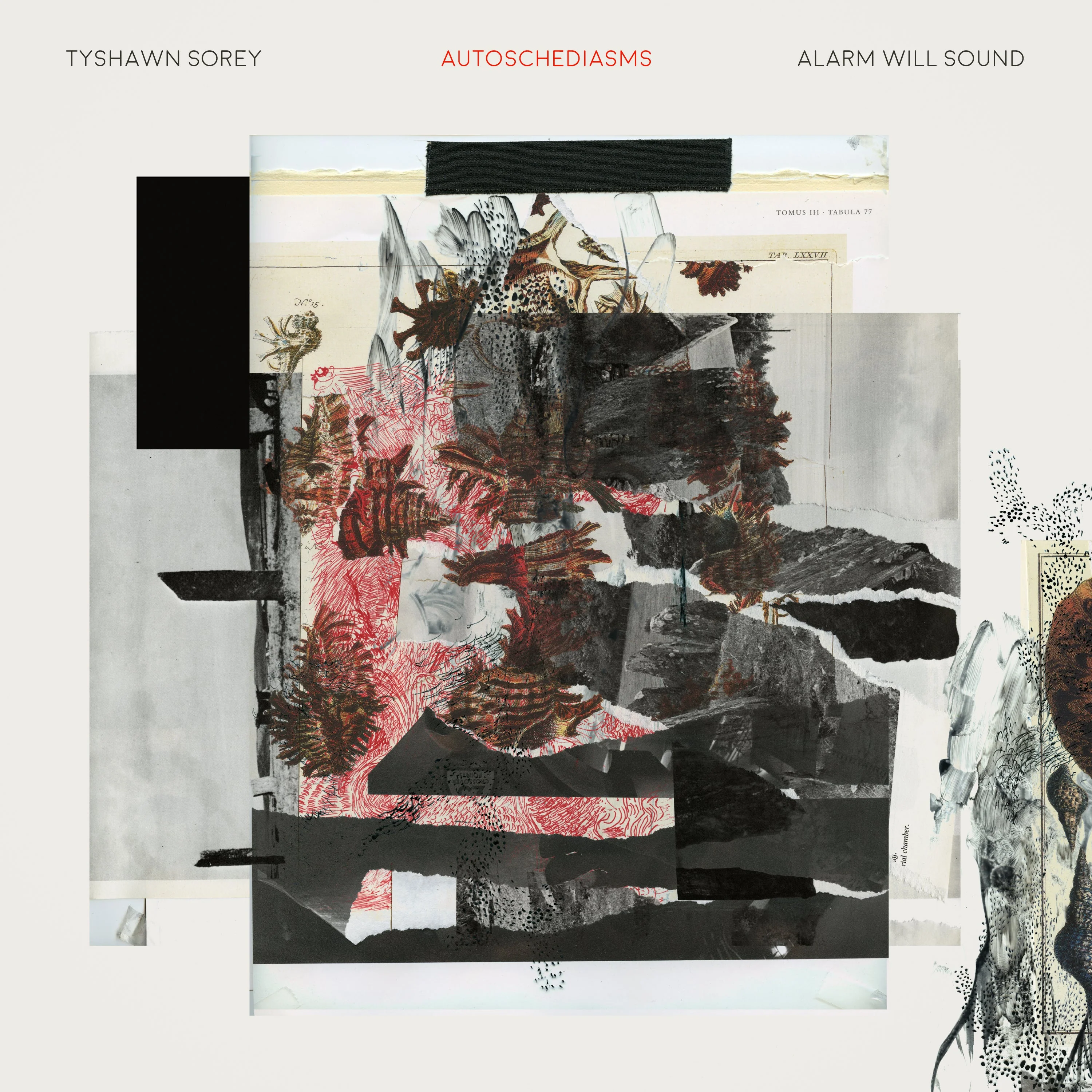 Sorey: For George Lewis & Autoschediasms / Alarm Will Sound - Image 2