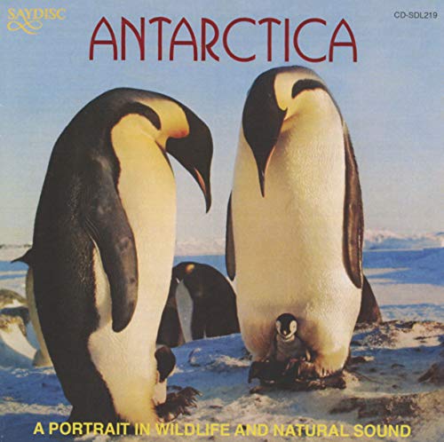 SOUND OF NATURE (THE): Antarctica - A Portrait in Wildlife a - Image 2