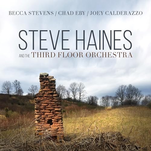 STEVE HAINES AND THE THIRD FLO - Image 2