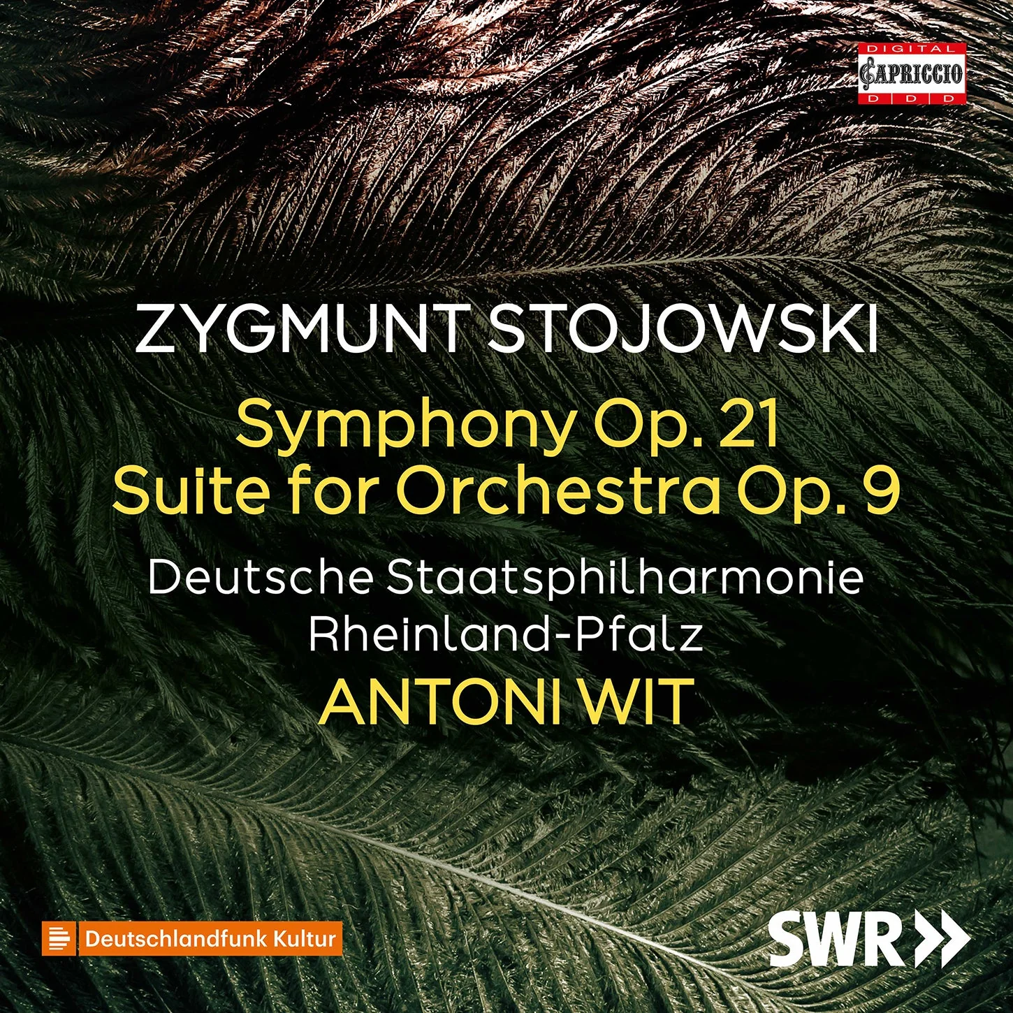 Stojowski: Symphony; Suite For Orchestra / Wit, Staatsphilharmonie Rheinland-Pfalz - Image 2