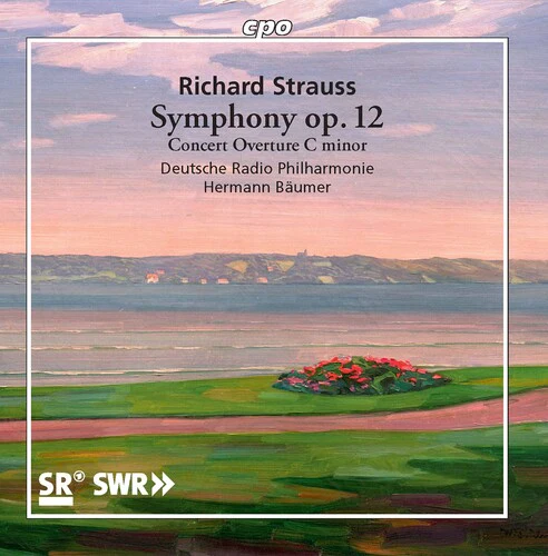 Strauss: Symphony, Op. 12, Concert Overture in C Minor / Baumer, Deutsche Radio Philharmonie