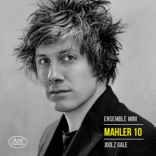 Mahler 10 / Joolz Gale, ensemble mini - Image 2
