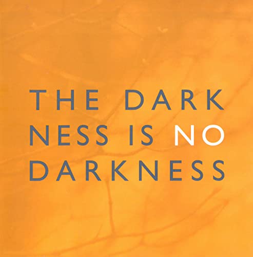 The Darkness Is No Darkness - Image 2