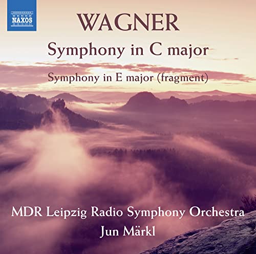 Wagner: Symphony in C Major / Markl, MDR Leipzig Radio Symphony - Image 2